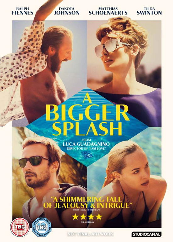 Cover for A Bigger Splash (DVD) (2016)