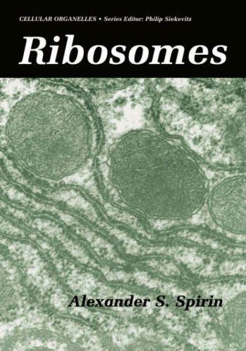 Cover for Alexander S. Spirin · Ribosomes - Cellular Organelles (Hardcover Book) [2002 edition] (2000)