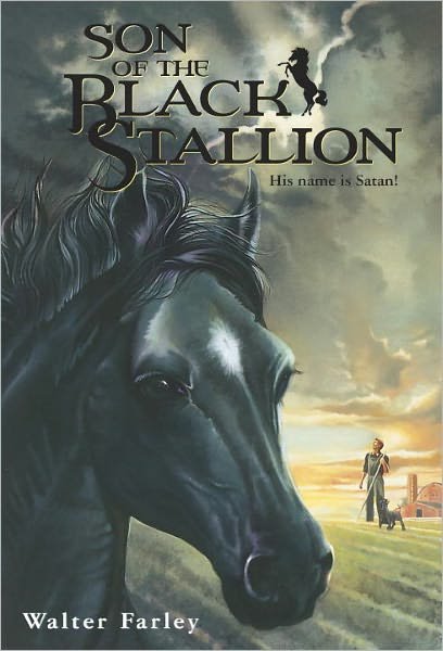 Cover for Walter Farley · Son of the Black Stallion - Black Stallion (Paperback Bog) (1991)