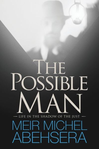 Cover for Meir Michel Abehsera · The Possible Man Life In The Shadow of The Just (Paperback Book) (2019)