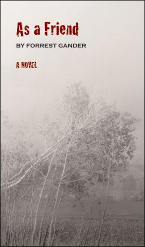 Cover for Forrest Gander · As a Friend: a Novel (Paperback Book) (2008)