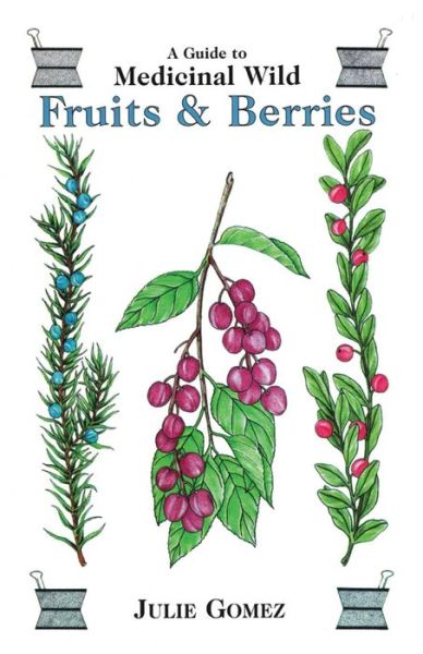 Cover for Julie Gomez · Guide to Medicinal Wild Fruits &amp; Berries (Paperback Book) (2018)