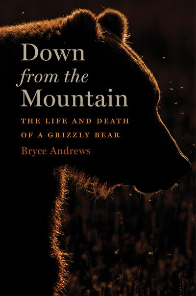 Cover for Bryce Andrews · Down From The Mountain: The Life and Death of a Grizzly Bear (Hardcover Book) (2019)