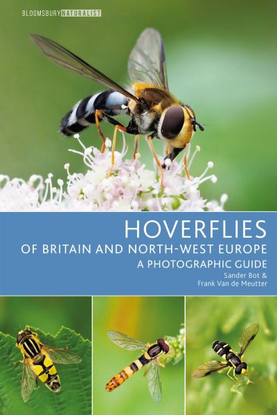 Cover for Sander Bot · Hoverflies of Britain and North-west Europe: A photographic guide - Bloomsbury Naturalist (Paperback Book) (2023)