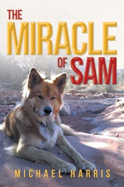 Cover for Michael Harris · The Miracle of Sam (Pocketbok) (2013)