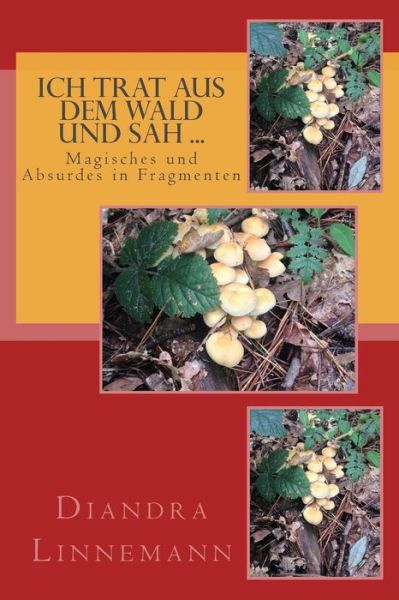 Cover for Diandra Linnemann · Ich trat aus dem Wald und sah ... (Paperback Book) (2015)