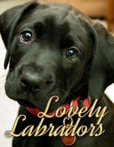 Cover for Ironpower Publishing · Lovely Labradors (Paperback Book) (2016)