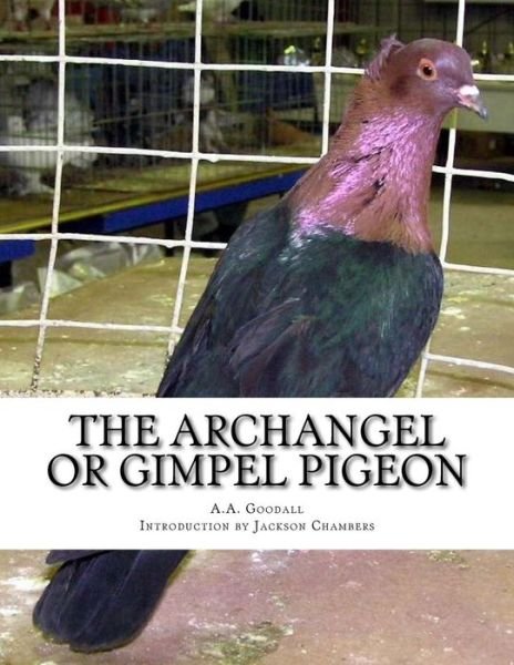 Cover for A a Goodall · The Archangel or Gimpel Pigeon (Paperback Book) (2016)