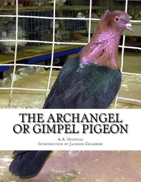 The Archangel or Gimpel Pigeon - A a Goodall - Livros - Createspace Independent Publishing Platf - 9781533534453 - 30 de maio de 2016