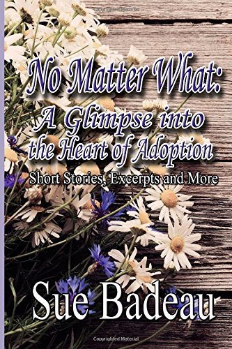 Cover for Sue Badeau · No Matter What: a Glimpse into the Heart of Adoption (Paperback Book) (2014)
