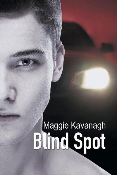 Cover for Maggie Kavanagh · Blind Spot Volume 3 - The Stonebridge Mysteries (Paperback Book) [New edition] (2016)