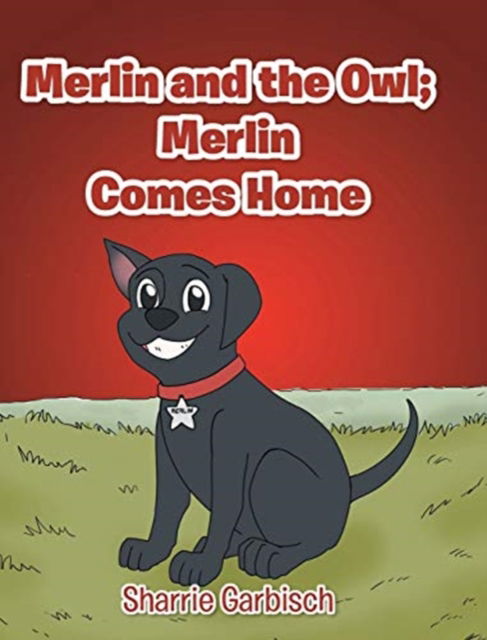 Cover for Sharrie Garbisch · Merlin and the Owl: Merlin Comes Home (Hardcover Book) (2020)