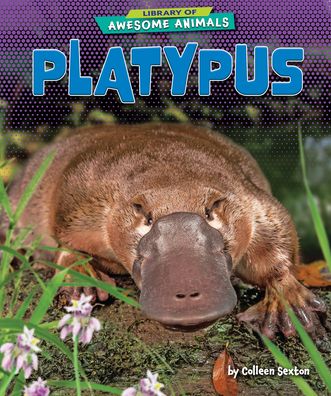 Cover for Colleen Sexton · Platypus (Hardcover Book) (2020)