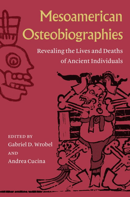 Mesoamerican Osteobiographies: Revealing the Lives and Deaths of Ancient Individuals (Hardcover Book) (2024)