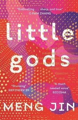Cover for Meng Jin · Little Gods (Paperback Book) (2021)