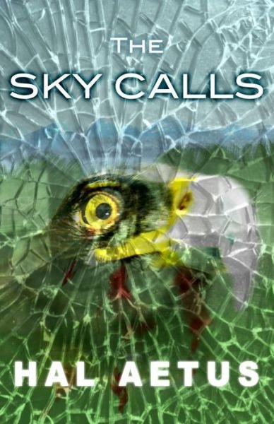 Cover for Hal Aetus · The Sky Calls (Pocketbok) (2018)