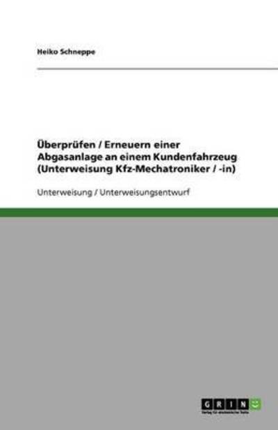 Cover for Schneppe · Überprüfen / Erneuern einer Ab (Book) [German edition] (2013)