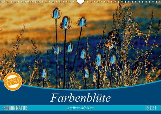 Cover for Meister · Farbenblüte (Wandkalender 2021 (Book)