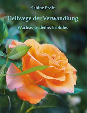 Cover for Sabine Proft · Heilwege der Verwandlung (Book) (2021)