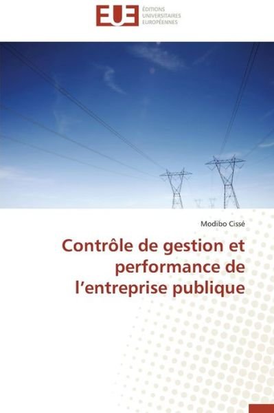 Cover for Cisse Modibo · Controle De Gestion et Performance De L'entreprise Publique (Paperback Bog) (2018)