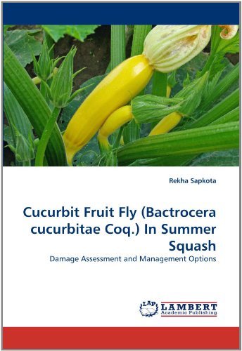 Cover for Rekha Sapkota · Cucurbit Fruit Fly (Bactrocera Cucurbitae Coq.) in Summer Squash: Damage Assessment and Management Options (Paperback Bog) (2011)