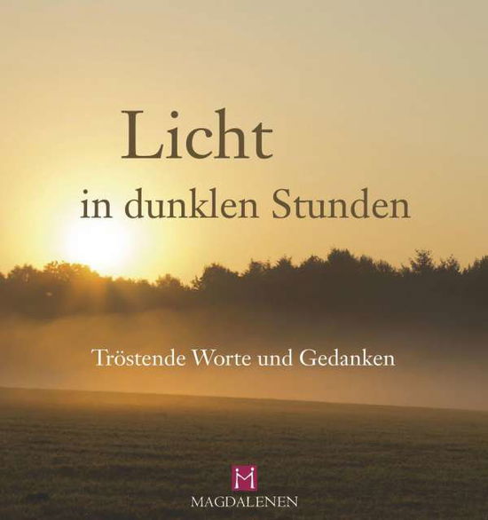 Cover for Mordhorst · Licht in dunklen Stunden (Book)