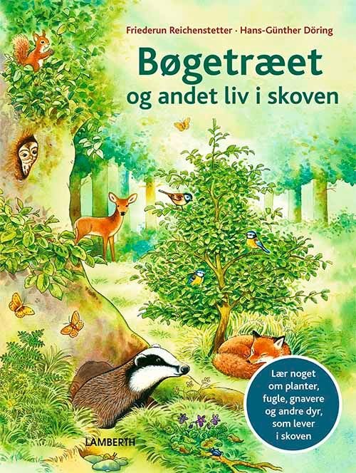 Cover for Friederun Reichenstetter · Bøgetræet og andet liv i skoven (Innbunden bok) [1. utgave] (2021)
