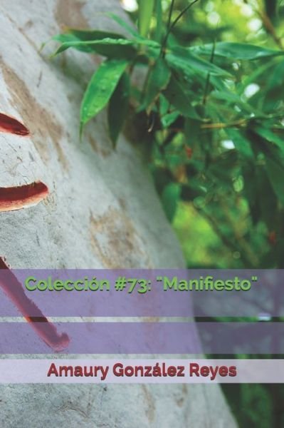 Cover for Amaury González Reyes · Coleccion #73 (Taschenbuch) (2020)