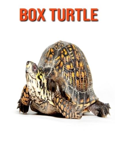 Cover for William Doyle · Box Turtle (Paperback Book) (2020)