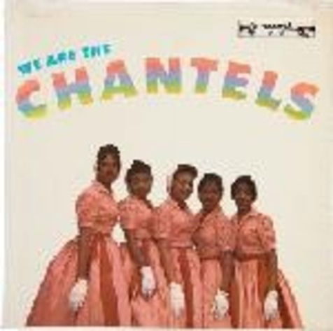 Cover for Chantels · We Are The Chantels (LP) (2023)