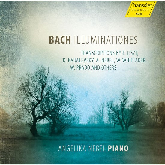Illuminationes - Liszt / Nebel / Prado / Kuhlstrom / Nebel - Musik - HANSSLER - 4010276027454 - 13. januar 2015
