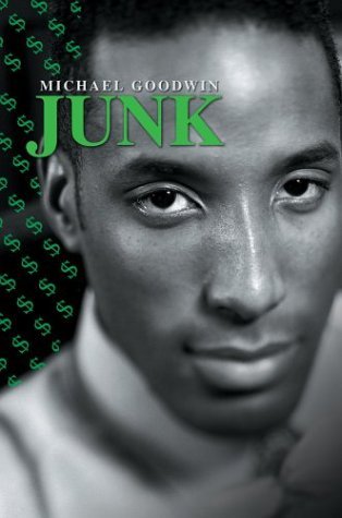 Cover for Michael Goodwin · Junk (Hardcover bog) [First edition] (2003)