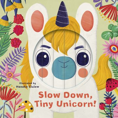 Cover for Rhiannon Findlay · Little Faces: Slow Down, Tiny Unicorn! - Little Faces (Board book) (2021)