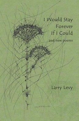 Cover for Larry Levy · I Would Stay Forever If I Could and New Poems (Paperback Book) (2007)