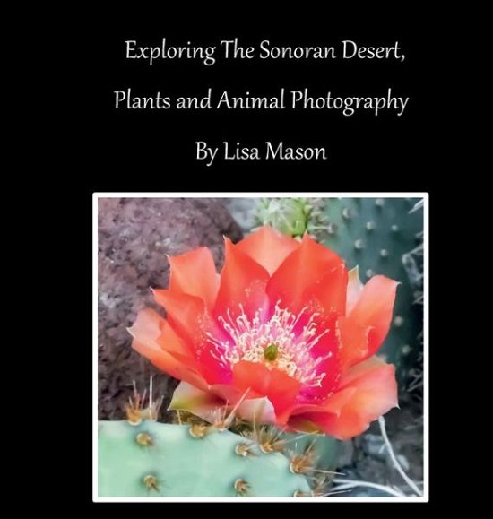 Cover for MAson · Exploring The Sonoran Desert, Plants and Animal Photography By Lisa Mason (Gebundenes Buch) (2019)