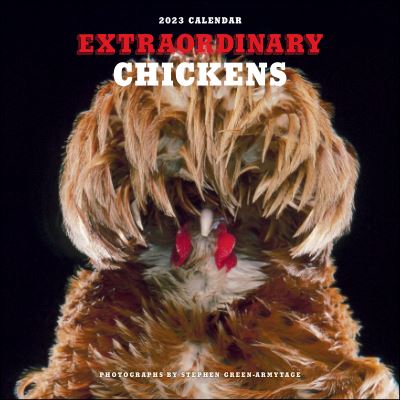 Cover for Stephen Green-Armytage · Extraordinary Chickens 2023 Wall Calendar (Calendar) (2022)