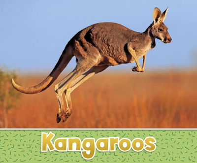 Cover for Sara  Louise Kras · Kangaroos - Australian Animals (Paperback Bog) (2019)