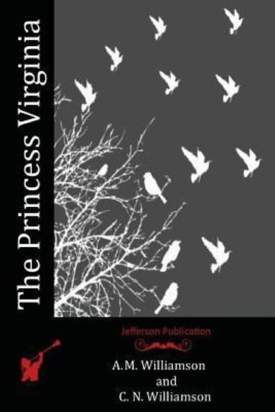 Cover for C N Williamson · The Princess Virginia (Paperback Book) (2016)