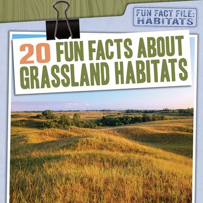 Cover for Abby Badach Doyle · 20 Fun Facts about Grassland Habitats (Paperback Book) (2021)