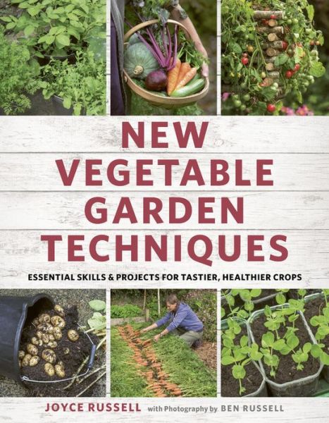 Cover for Joyce Russell · New Vegetable Garden Techniques: Essential skills and projects for tastier, healthier crops (Paperback Book) [Illustrated edition] (2019)