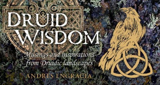 Cover for Andres Engracia · Druid Wisdom - Rockpool Mini Cards (Flashcards) (2022)