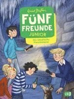 Cover for Enid Blyton · Fünf Freunde JUNIOR - Die rätselhafte Flaschenpost (Bog) (2024)