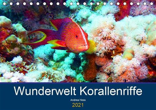 Cover for Hess · Wunderwelt Korallenriffe (Tischkal (Bog)