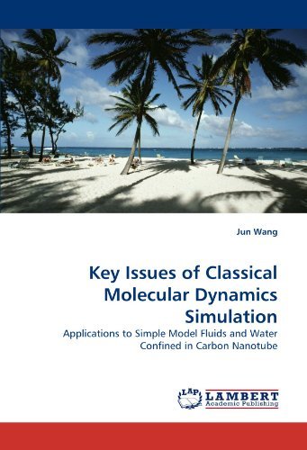 Cover for Jun Wang · Key Issues of Classical Molecular Dynamics Simulation: Applications to Simple Model Fluids and Water Confined in Carbon Nanotube (Paperback Bog) (2010)