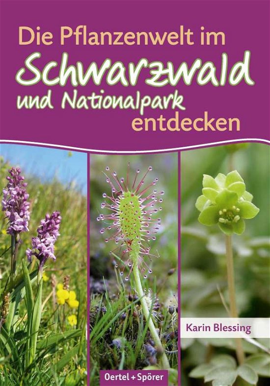 Pflanzenwelt im Schwarzwald - Blessing - Bøger -  - 9783886273454 - 