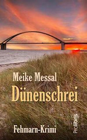 Cover for Meike Messal · Dünenschrei (Book) (2023)