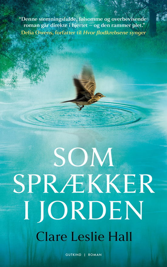 Cover for Clare Leslie Hall · Som sprækker i jorden (Gebundesens Buch) [1. Ausgabe] (2025)