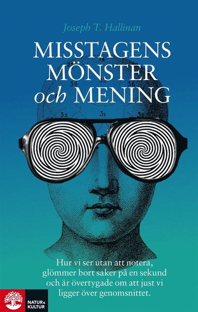 Cover for Joseph T. Hallinan · Misstagens mönster och mening : hur vi ser utan att notera, glömmer bort saker på en sekund och är övertygade om att just vi ligger över genomsnittet (ePUB) (2014)