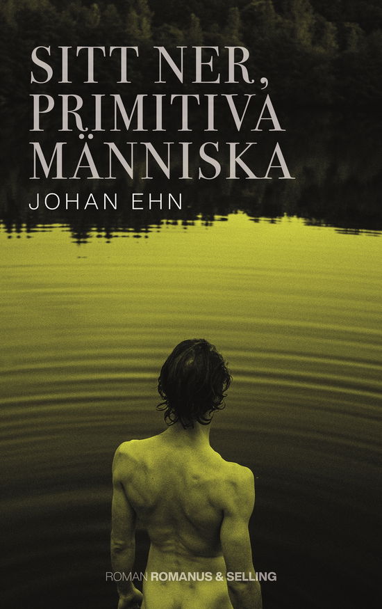 Cover for Johan Ehn · Den sovande (Hardcover Book) (2024)