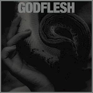 Cover for Godflesh · Purge (LP) (2023)